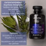 Apivita Men's Tonic Shampoo Τονωτικό Σαμπουάν Κατά της Τριχόπτωσης για Άνδρες με Hippophae TC & Δενδρολίβανο, 250ml - Image 6