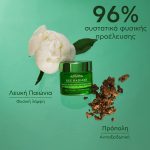 Apivita Bee Radiant Κρέμα-Gel Ημέρας για Σημάδια Γήρανσης & Ξεκούραστη Όψη Ελαφριάς Υφής, 50ml - Image 8