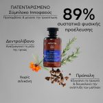 Apivita Men's Tonic Shampoo Τονωτικό Σαμπουάν Κατά της Τριχόπτωσης για Άνδρες με Hippophae TC & Δενδρολίβανο, 250ml - Image 4