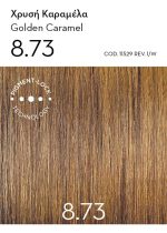 Korres Argan Oil Advanced Colorant Βαφή Μαλλιών 8.73 Χρυσή Καραμέλα, 1 τεμάχιο - Image 3