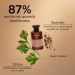 Apivita Dry Dandruff Σαμπουάν Κατά της Ξηροδερμίας με Σέλερι & Πρόπολη, 250ml - Image 4