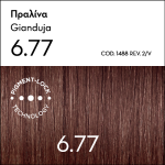 Korres Argan Oil Advanced Colorant Βαφή Μαλλιών 6.77 Πραλίνα, 1 τεμάχιο - Image 4