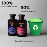 Apivita Men's Tonic Shampoo Τονωτικό Σαμπουάν Κατά της Τριχόπτωσης για Άνδρες με Hippophae TC & Δενδρολίβανο, 250ml - Image 2