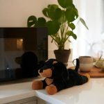 Warmies Junior Dashshund Λούτρινο-Θερμοφόρα με Άρωμα Λεβάντα, 1 τεμάχιο - Image 3