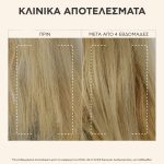 Apivita Royal Jelly Elixir Σαμπουάν Αναζωογόνησης με Royal Jelly-IR & Φυσικά Αμινοξέα Μεταξιού, 250ml - Image 5