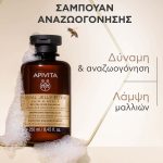 Apivita Royal Jelly Elixir Σαμπουάν Αναζωογόνησης με Royal Jelly-IR & Φυσικά Αμινοξέα Μεταξιού, 250ml - Image 2
