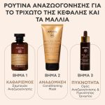 Apivita Royal Jelly Elixir Hair & Scalp Μαλακτική Μάσκα Αναδόμησης με Royal Jelly-IR & Φυσικά Αμινοξέα Μεταξιού, 150ml - Image 3