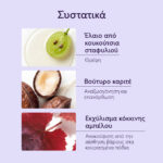 Caudalie Vinotherapist™ Foot Beauty Cream Επανορθωτική Κρέμα Ποδιών, 75ml - Image 5