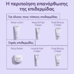Caudalie Vinotherapist™ Foot Beauty Cream Επανορθωτική Κρέμα Ποδιών, 75ml - Image 4