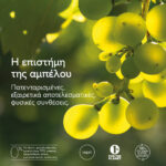 Caudalie Vinoclean Moisturizing Toner Ενυδατική Τονωτική Λοσιόν Προσώπου, 100ml - Image 10