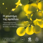 Caudalie Vinotherapist™ Hand & Nail Repairing Cream Ενυδατική & Επανορθωτική Κρέμα Χεριών & Νυχιών, 75ml - Image 3